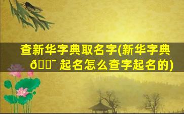 查新华字典取名字(新华字典 🐯 起名怎么查字起名的)